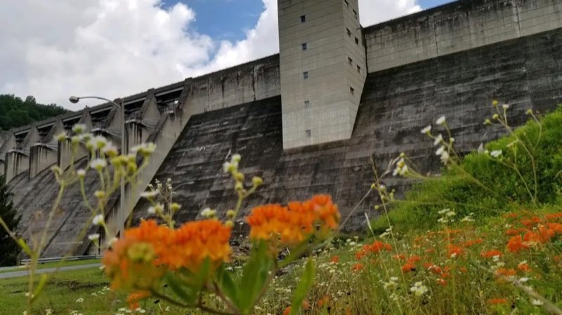 Photo of the Down Stream Area