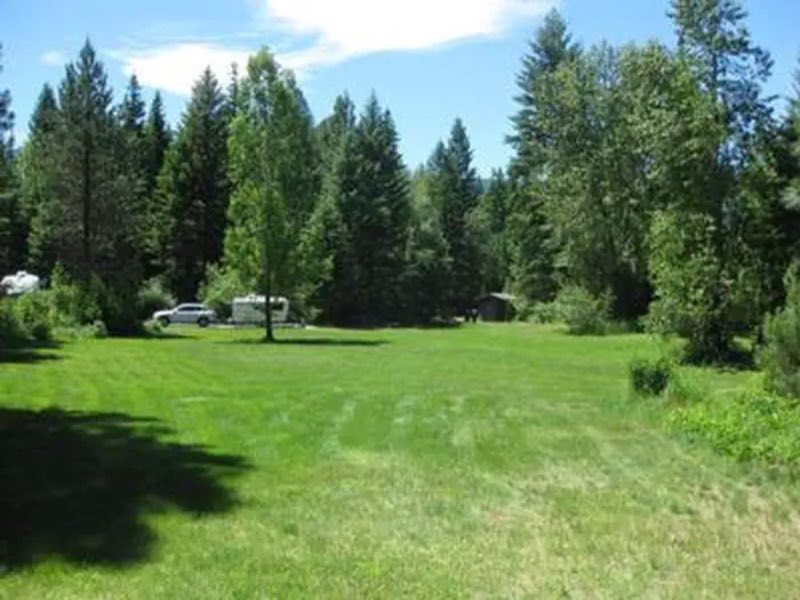 Open grass photo