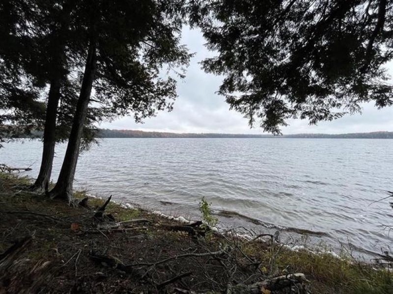 Waves approach a tree covered shore with gray storm clouds in the sky overhead.