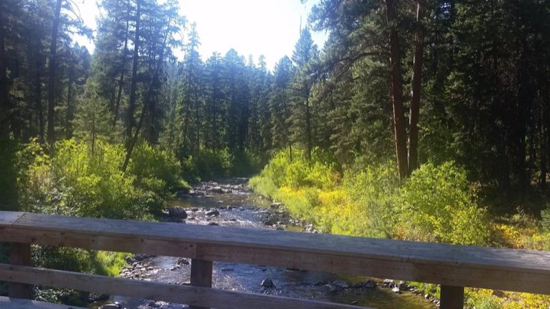 Bridge over creek heading to North Shore