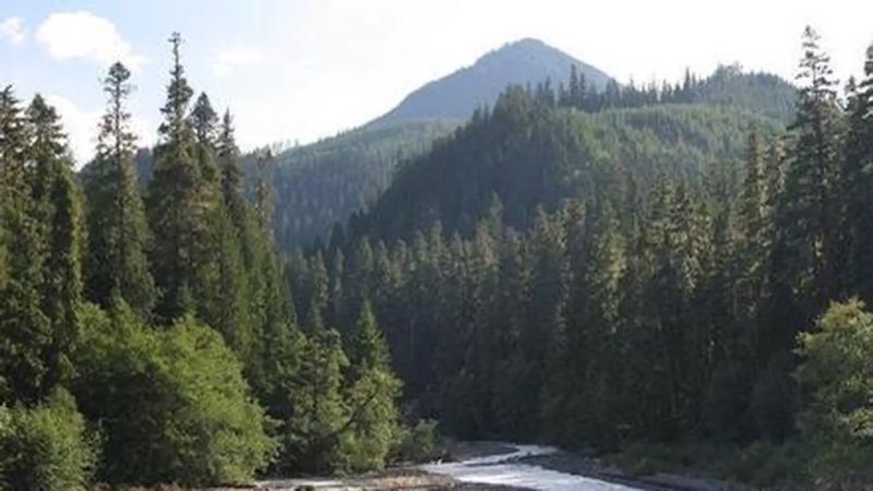 The Dalles view