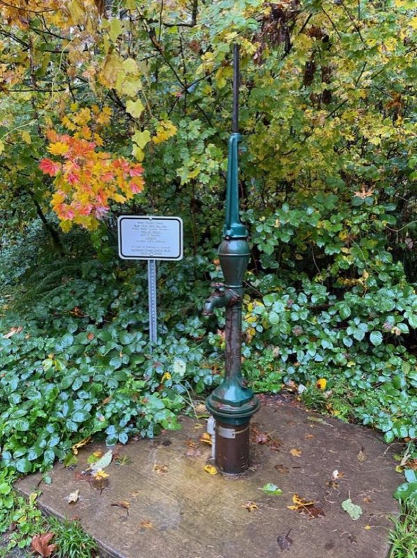 Non- potable water pump