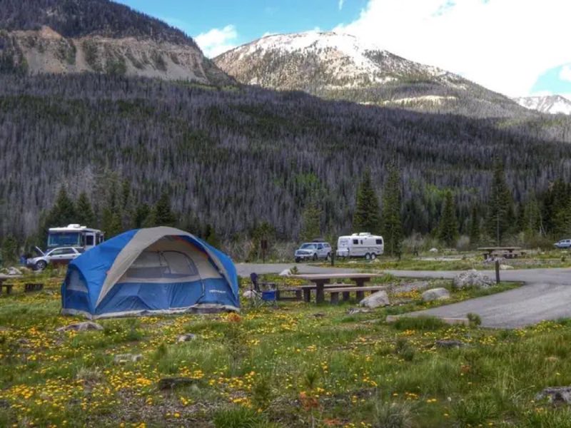 A Tent Pitched at Timber Creek Campground