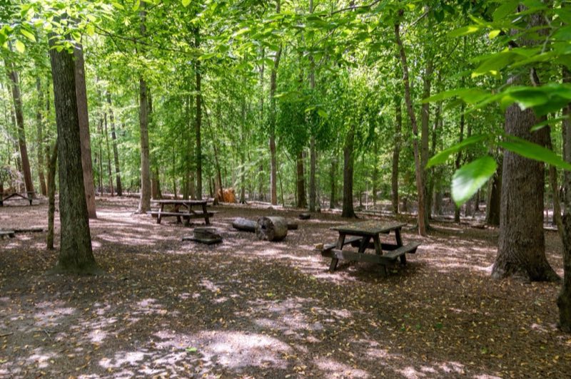 Brown picnic tables and a fire ring are surrounded by green trees