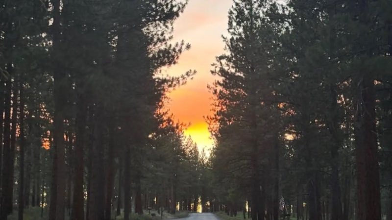 Nice representation of the Ponderosa Pine at Union Creek Campground