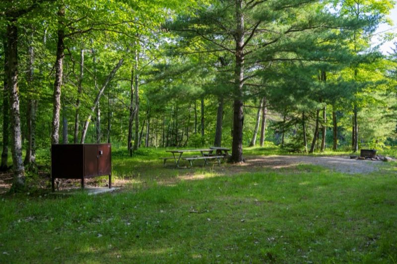 A shaded grassy and gravel campsite with a bear box, two picnic tables, and a metal fire ring.