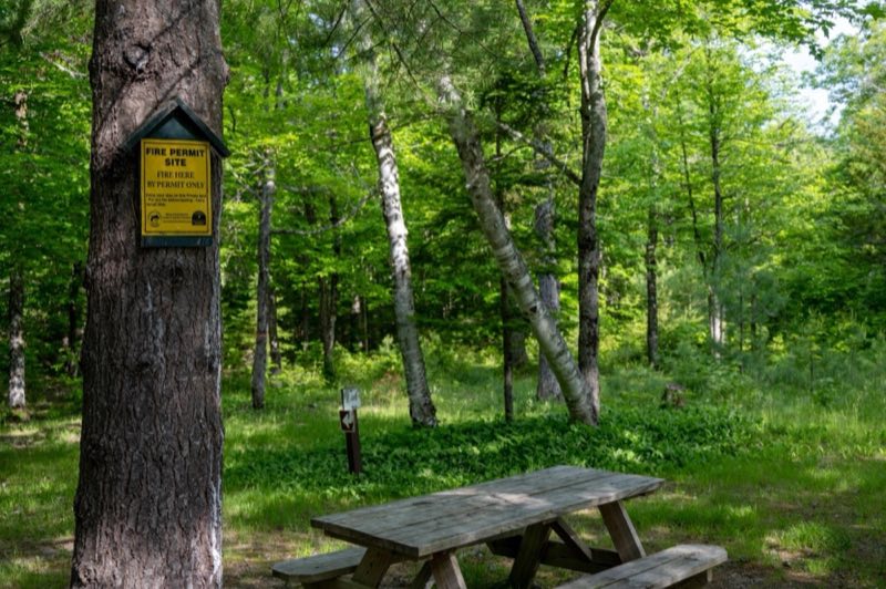 A yellow fire permit sign next to a wooden picnic table in a wooded area of the campsite.