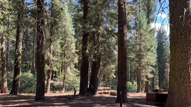 Forested campground in Warner Valley