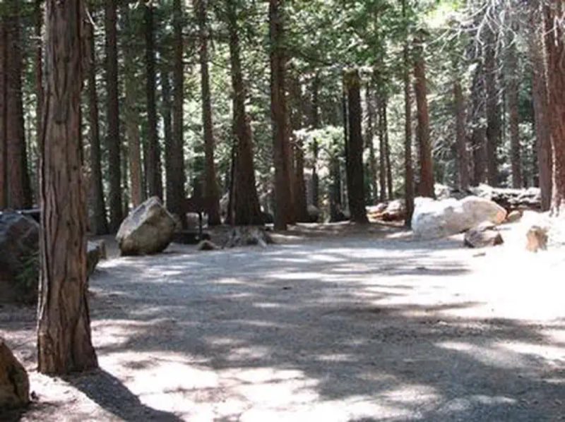 WENCH CREEK