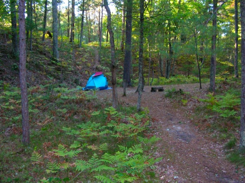 A blue tent nestled in the woods