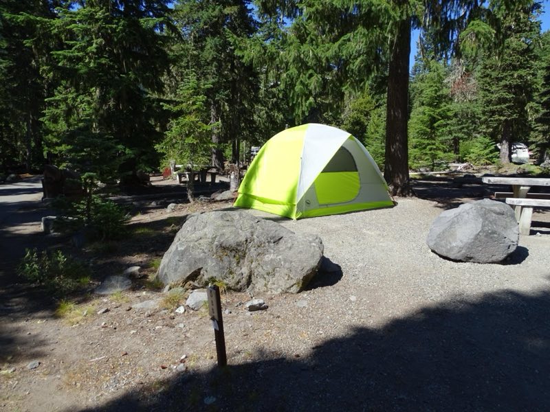 A large green tent with trees in the background.