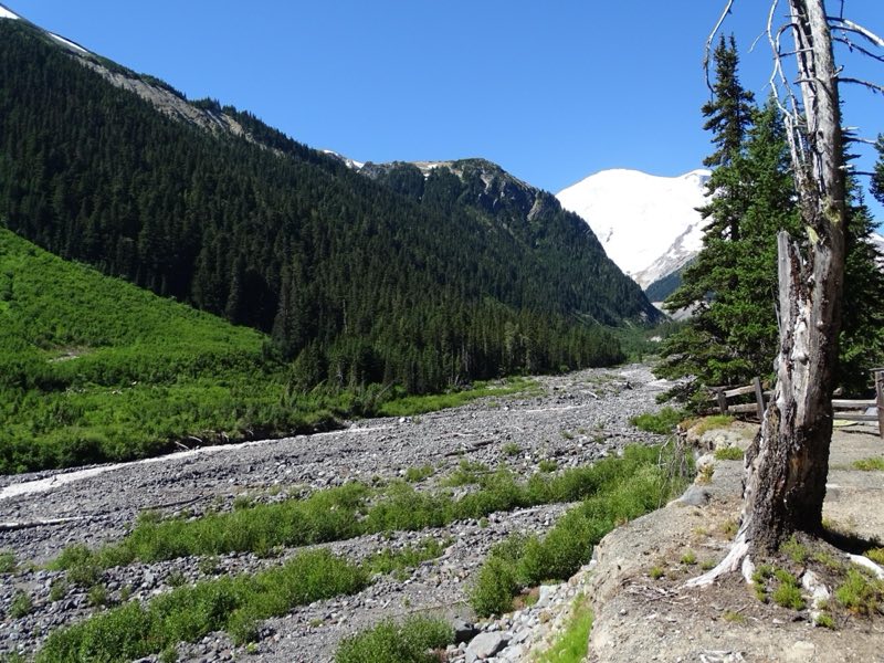 A rocky river basin with forested valley walls that leads up to Mount Rainier.
