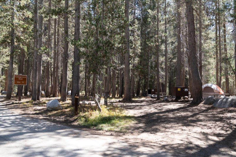 White Wolf Camp Host Site
