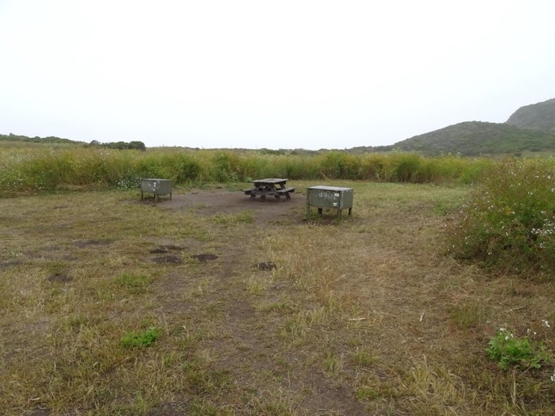 A campsite in a meadow containing a picnic table and two food storage lockers.