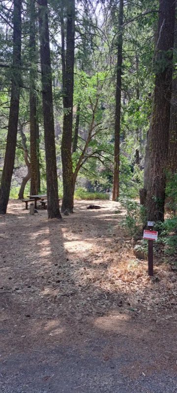 Campsite #10
