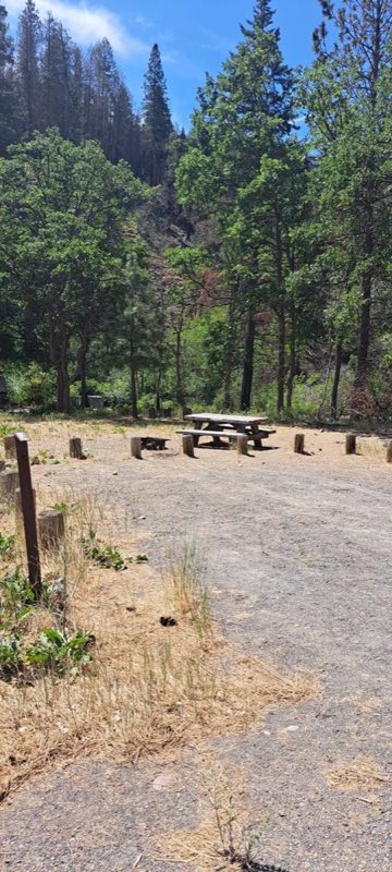 Campsite #14